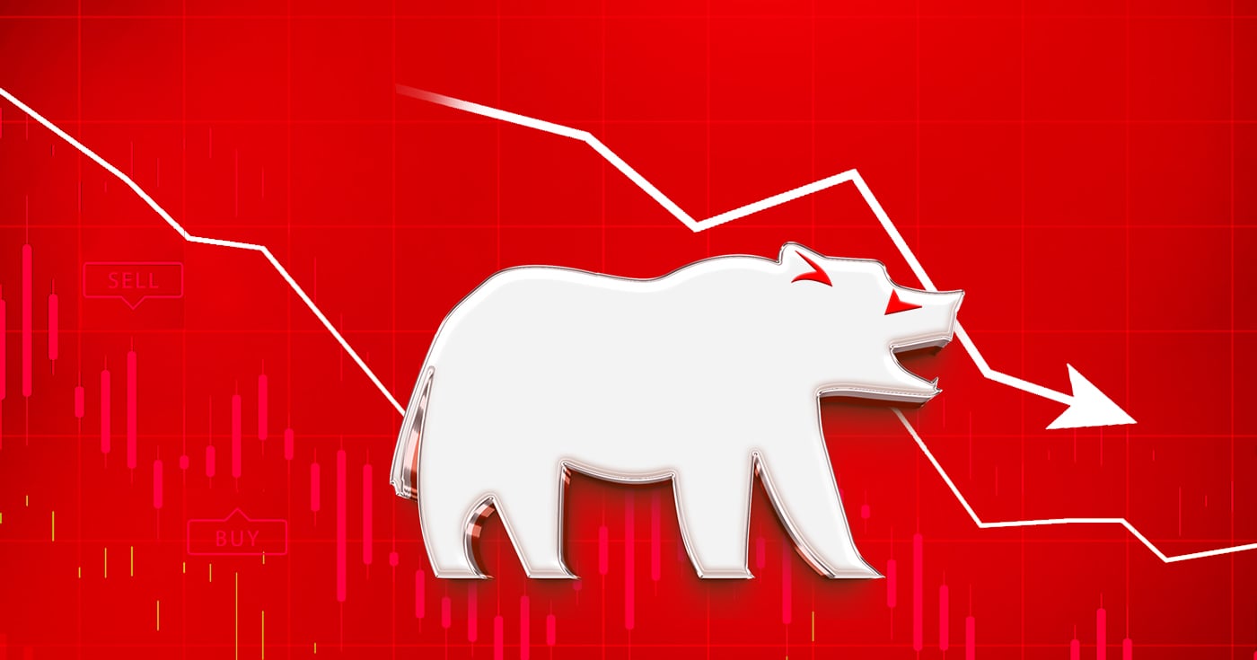 शेयर बजार